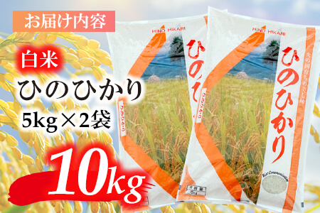 鹿児島県志布志市産ヒノヒカリ 精白米 計10kg(5kg×2袋) a6-032-R5