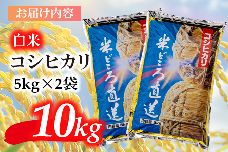 鹿児島県志布志市産こしひかり 精白米 計10kg(5kg×2袋) a6-031-R5