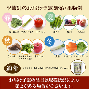 野菜 10～3品目野菜セット 年3回 定期便 野菜 野菜 野菜 野菜 野菜 C17_01