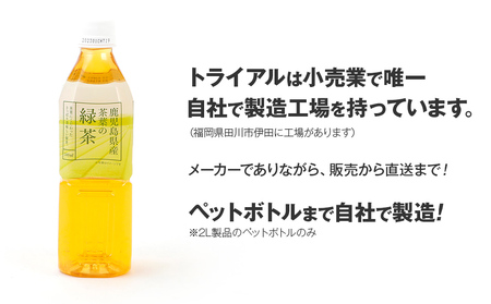 お茶 ペットボトル おいし～い緑茶 500ml×48本 お茶