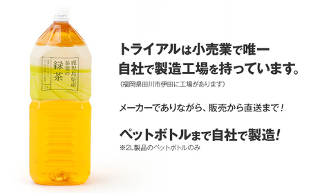 【定期便3カ月】 お茶 ペットボトル おいし～い緑茶 2L×12本 お茶