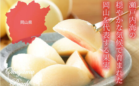 桃 2026年 先行予約 岡山 白桃 ロイヤル 5～10玉 約2kg JA おかやま のもも（早生種・中生種） もも モモ 岡山県産 国産 フルーツ 果物 ギフト 甘い 美味しい 産地直送 贈り物 高糖度 