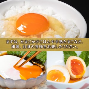 ＜お試し用＞ 平飼い赤鶏のたまご (計10個) 元さん農園 卵 玉子 卵かけご飯 玉子焼き 平飼い 鶏 鶏卵 養鶏場直送送 朝採れ 新鮮 大分県 佐伯市 【GE002】【 (株)海九】