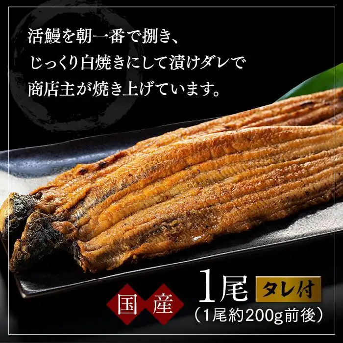 うなぎ蒲焼(1尾） ウナギ