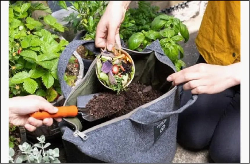 （福岡市）都会でできる、おしゃれコンポスト