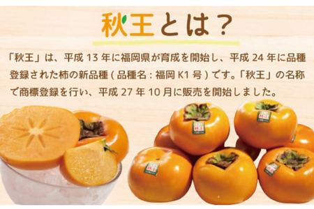 柿 秋王 8-12玉 約 3kg [um40azo970029] 柿