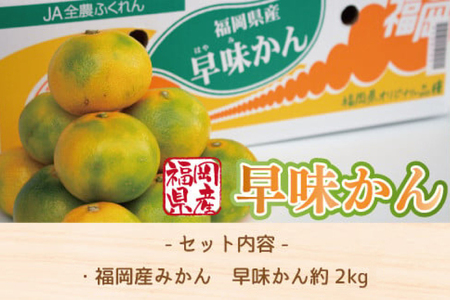 みかん 早味かん 約 2kg [um40azo970030] みかん
