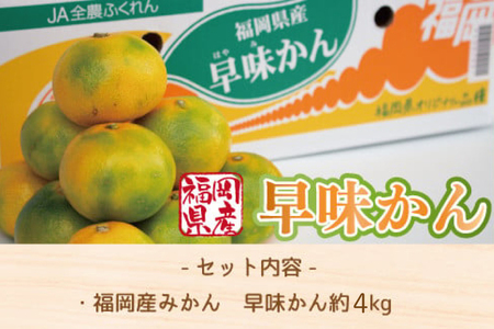 みかん 早味かん 約 4kg [um40azo970031] みかん