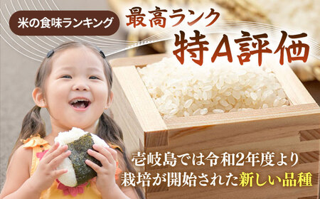 【R7年度産】壱岐産米 なつほのか 10kg [JCZ015] 米 お米