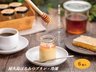 【ギフト用オリジナル保冷バッグ付き】【数量限定】屋久島はちみつ冷凍プリン6個セット