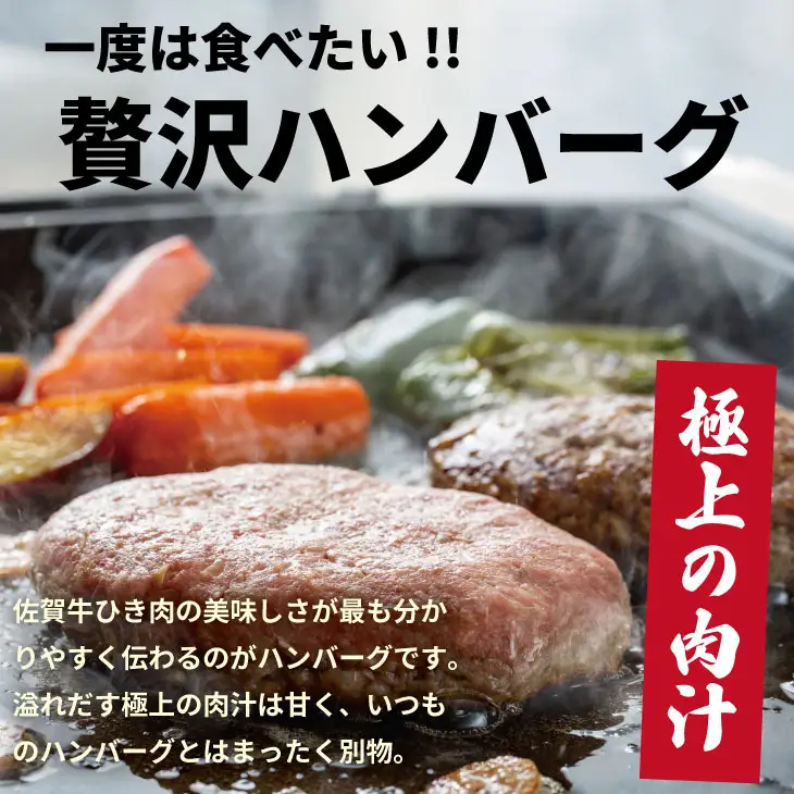 佐賀牛 100% 挽き肉 800g ハンバーグに最適 ミンチ  B120-058