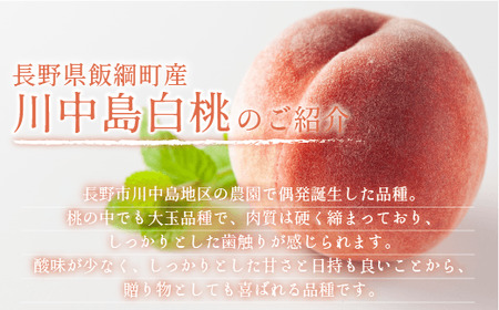 【 2026年 先行予約 】 桃 川中島白桃 5kg 秀品 光センサー選別品 糖度保証 【 予約 果物 くだもの もも モモ フルーツ 旬 長野 信州 川中島 】 沖縄県への配送不可 2026年8月下旬頃から2026年9月中旬頃まで順次発送予定 日時指定不可 令和8年度出荷分 長野県 飯綱町 [0054]