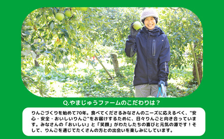 りんご サンふじ 極選 5kg やまじゅうファーム 2026年12月中旬頃から2026年12月下旬頃まで順次発送予定 令和8年度収穫分 信州の環境にやさしい農産物 減農薬栽培 長野県 飯綱町 [0537]