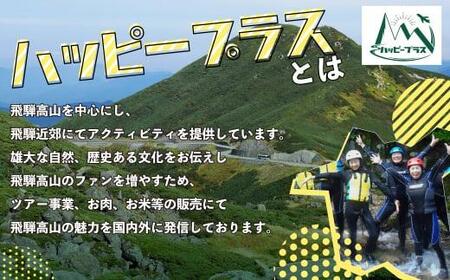 ハッピーツアー体験チケット 10,000円分 体験 ツアー 利き酒 酒蔵体験 町歩き フードツアー 座禅 シャワークライミング スノーシュー オンラインツアー アクティビティ ハッピープラス 飛騨高山 JQ004