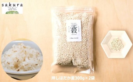 TOONむぎむぎセット 麦 もち麦 はだか麦 食物繊維 ご飯 サラダ スープ もちもち プチプチ 