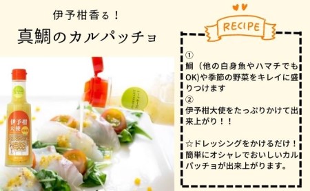 お土産人気NO1！！ 愛媛の伊予柑大使4本セット 調味料 ドレッシング サラダ いよかん 愛媛産 カルパッチョ 