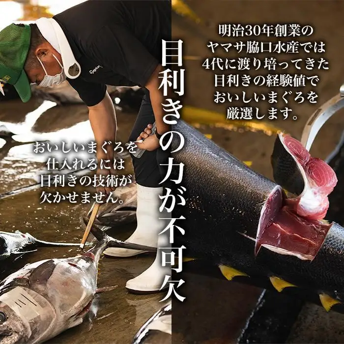 【訳あり】丼にぴったり！那智勝浦町水揚げびんちょうマグロのぶつ切り（5パック）【不揃い】（計1.5kg）
