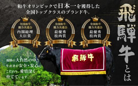 飛騨牛 すき焼き A5等級 ロース 500g すき焼き JQ018-CP01 FN-Limited-PR
