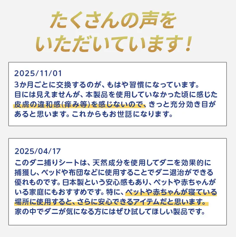 【特許取得】ダニ捕りパック ブラックホール 10個入 独自の閉じ込め構造でダニを捕獲