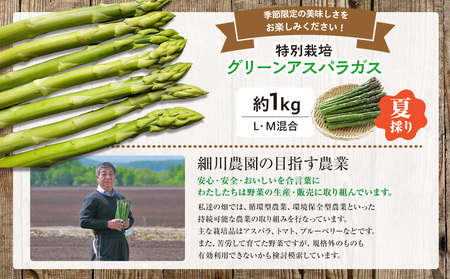 【R8年産】アスパラガス（夏採り）特別栽培 約1kg 細川農園 | グリーンアスパラ グリーンアスパラガス アスパラ 野菜 春野菜 朝採れ 新鮮 極太 サラダ 天ぷら 炒め物 旬 特産 産地直送 北海道 津別町 送料無料