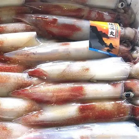 カット済・やわらか白イカ(生凍結)300g×2袋　兵庫県新温泉町【配送不可地域：離島】【1311775】
