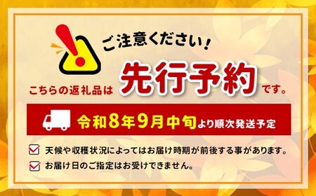 シナノピッコロ 約4～4.5kg 【2026年先行予約 】 ｜東印平林農園 
