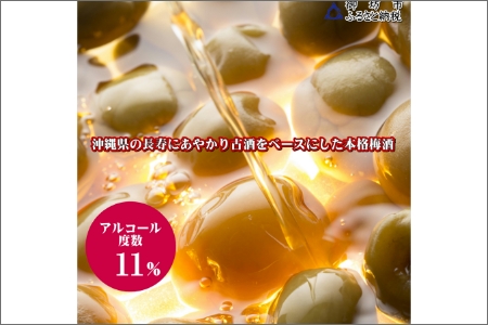 【0953-4】操～MISAO～　泡盛古酒梅酒　375ml（2本）