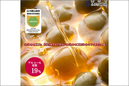 【0951-4】善～ZEN～　ブランデー梅酒　375ml（2本）