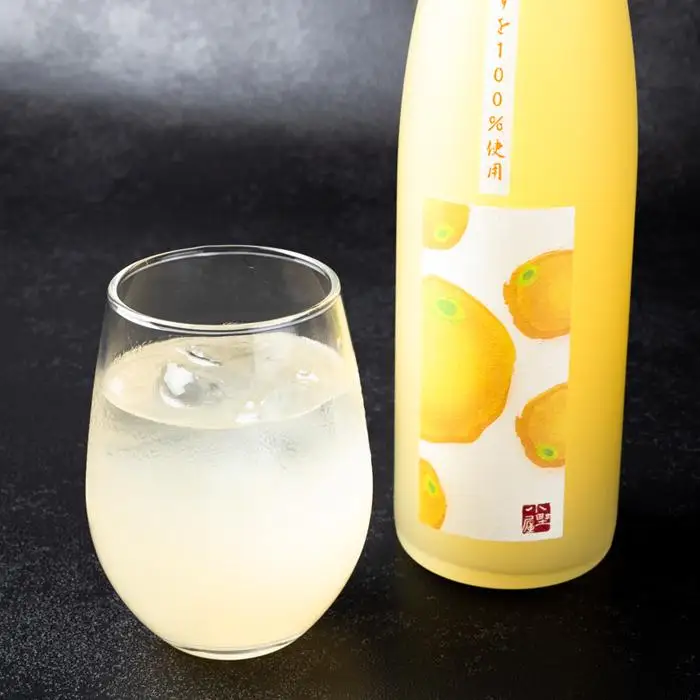 【小野酒造】果実酒 2種 計2本 飲み比べセット（豊後梅酒720ml・小野屋のゆず500ml）