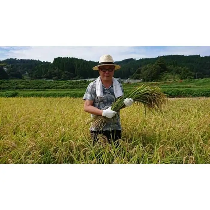 湯布院産 おおくぼさんちの美味しい 白米 5g【ひとめぼれ】
