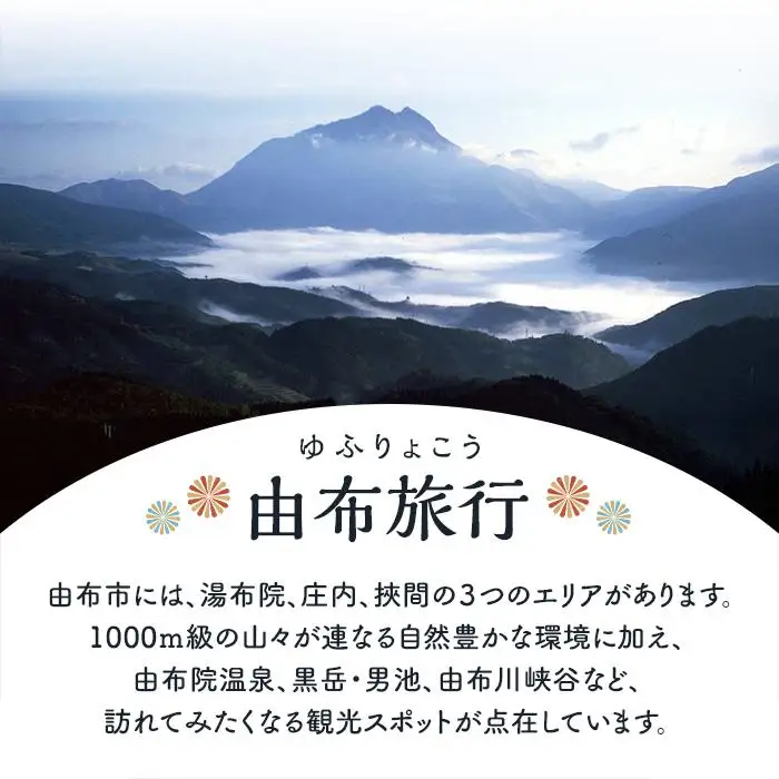 【由布市（湯布院、由布院、湯平、塚原高原）】ふるさと納税宿泊補助券6,000円分 | 温泉 宿泊券 旅行 トラベル 宿泊 湯布院 由布院