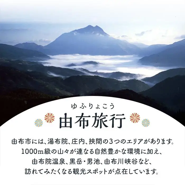 【由布市（湯布院、由布院、湯平、塚原高原）】ふるさと納税宿泊補助券30,000円分【 宿泊券】