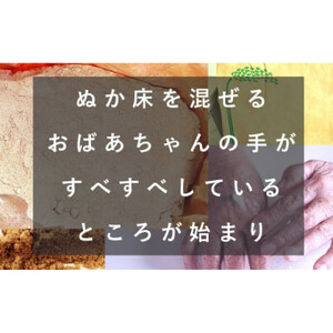 ぬかっち生活 オールインワンゲル 150g