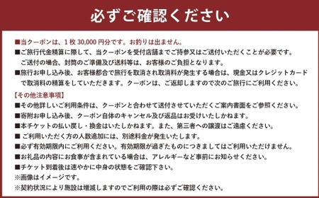 山梨県身延町 日本旅行 地域限定旅行クーポン 90,000円分 旅行 観光 ホテル 旅館 宿泊 クーポン 地域限定 山梨県 身延町