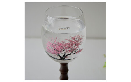 有田焼 冷感マジック ワイングラス (満開桜) 2個セット【東洋セラミックス】食器 グラス ワイングラス ペア セット 桜 さくら 華やか ギフト A18-159
