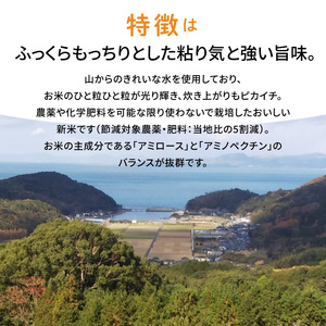 S108-004A_〈令和8 年産〉熊本県天草産　天草の大地の恵み　新米コシヒカリ12㎏【先行予約】