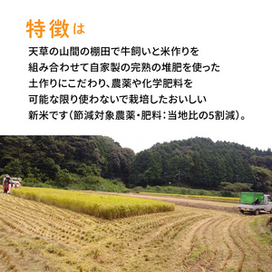 S109-003A_〈令和8年産〉熊本県天草産　天草コシヒカリ6kg（3kg×2）