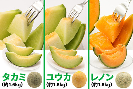 【先行予約】満喫！ つがるメロン 食べ比べセット (タカミ・ユウカ・レノン) 各1.6kg 3玉セット｜舐瓜 [0669]