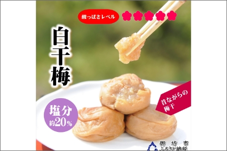 【0947-4】紀州南高梅　白干梅　1100g　家庭用（B級、C級）