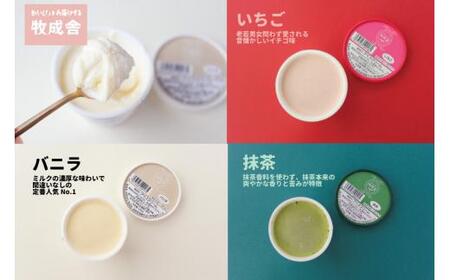 飛騨の牛乳屋 牧成舎 業務用  アイスクリーム 1L×3種 アイス DF007 訳あり