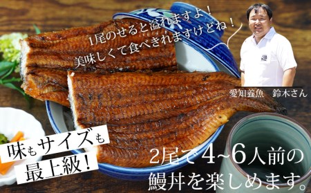 【定期便】三河産うなぎ「超おばけ蒲焼き2尾(合計500g以上)」×6回(隔月1回　1年間)・A134-120