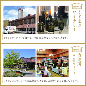 滝沢りんごワイン ポム 720ml 3ヶ月定期便 【岩手くずまきワイン】 ワイン 酒 白ワイン 甘口 林檎 リンゴ りんご アップル 贈り物 プレゼント ギフト プチギフト バレンタインデー ホワイトデー クリスマス 人気 オススメ おすすめ