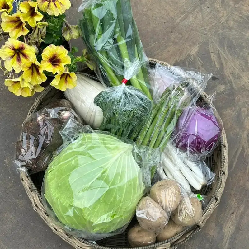 【冷蔵便】季節のこだわり野菜セット 野菜詰め合わせ（春野菜 夏野菜 ハーブ など）【 神奈川県 大磯町 野菜セット 詰め合わせ 季節 旬 】