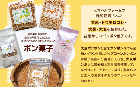 ポンポン菓子詰合せ 元ちゃんファーム《90日以内に出荷予定(土日祝除く)》 和歌山県 紀の川市 玄米 大豆 大麦 トウモロコシ 送料無料