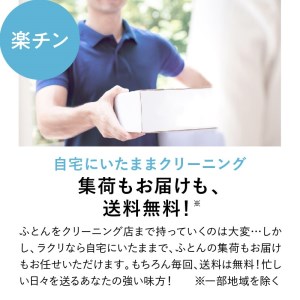 布団クリーニング　掛布団2枚コース（シングル・ダブルサイズ1枚ずつ）｜布団　掛布団　クリーニング　シングル　ダブル　宅配クリーニング　肌や環境にやさしいクリーニングを追求 ※北海道・沖縄・離島への配送不可 ※着日指定不可