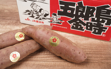 さつまいも JA金沢市 加賀野菜　五郎島金時 秀品・5kg さつまいも