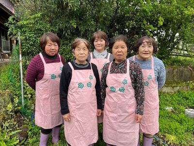 【3ヶ月定期便】葵会こだわりの『手作り合わせ味噌』 3ヶ月 定期便 手づくり 合わせみそ 800g 2個 セット 味噌 みそ 合わせ味噌 米麹 米糀 麦麹 調味料 手作り お取り寄せ 葵会 熊本 阿蘇 南小国町 送料無料