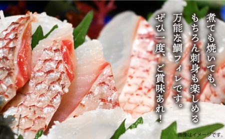 壱岐産 鯛 フィレ 800gから1.2kg [JDT006]