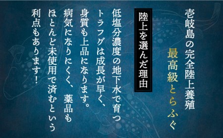 壱岐産 とらふぐ 焼きふぐ 240g（40g×6P）希少部位とおとうみ付 [JDT012]