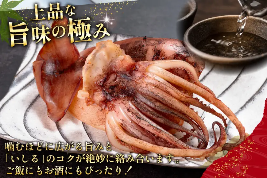 能登 船凍スルメイカ いしる干しセット 5枚 [能西水産 石川県 志賀町 AD4115] 